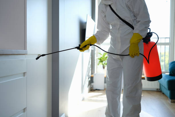 Best Crawl Space Mold Removal  in Del Aire, CA